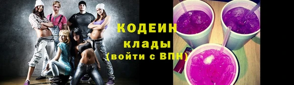 МДПВ Гусев