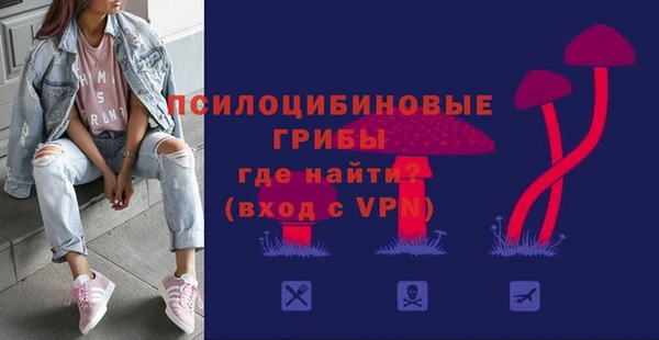 МДПВ Гусев