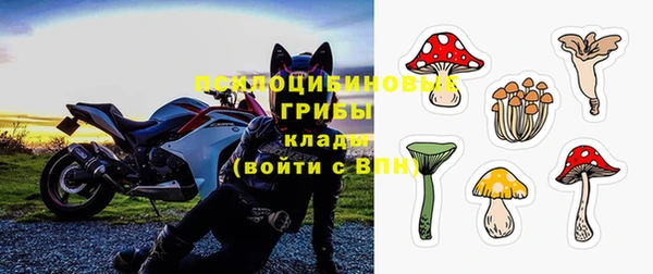 мескалин Гусиноозёрск