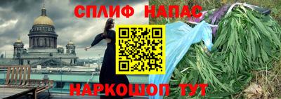 твердый Гай