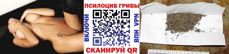 где можно купить наркотик  Минеральные Воды  Галлюциногенные грибы ЛСД 